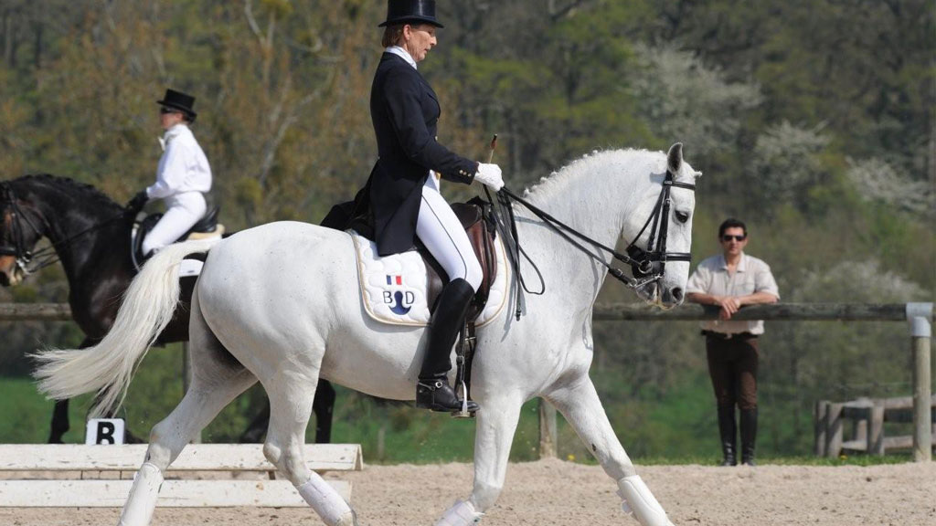 Cavalier en position de dressage montrant la descente de jambe caractéristique