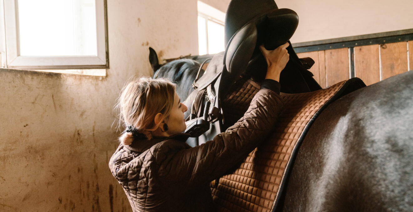 Le matériel équestre