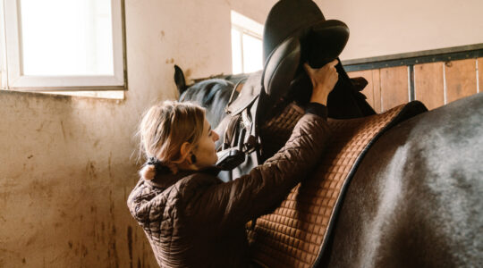 Le matériel équestre